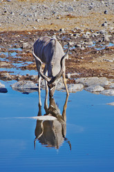 Similar image 12688206