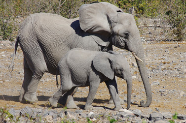 Similar image 12688208