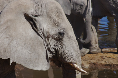 Similar image 12688227