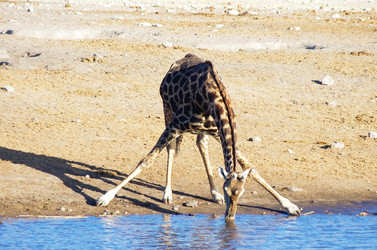 Similar image 12688228