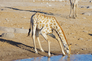 Similar image 12688246