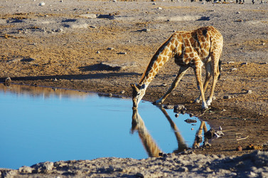 Similar image 12688247