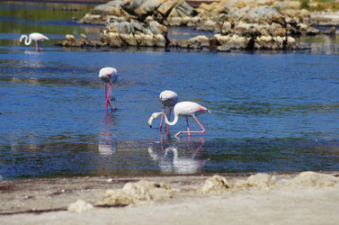 Similar image 12688346