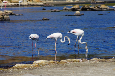 Similar image 12688349