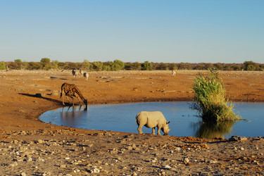 Similar image 12688367