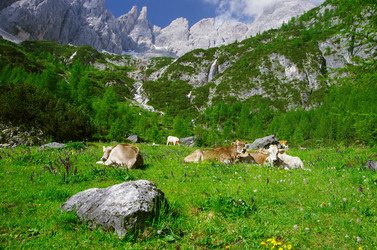 Similar image 12688369