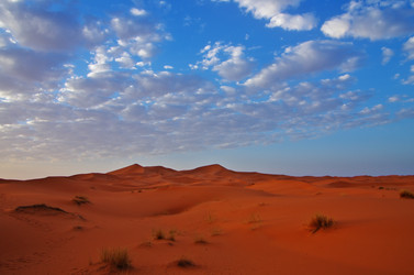 Similar image 12688372