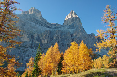 Similar image 12688387