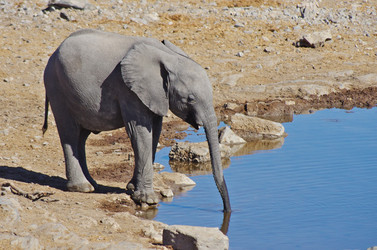 Similar image 12688448