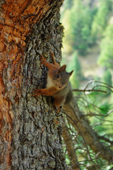 Similar image 12688472