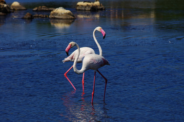 Similar image 12688474