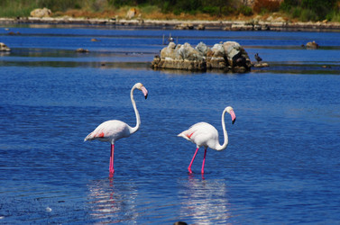 Similar image 12688486