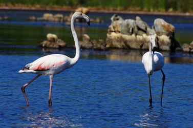 Similar image 12688490