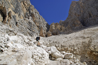 Similar image 12687534