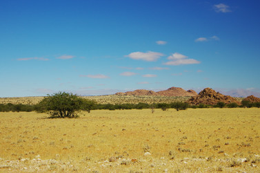 Similar image 12687706