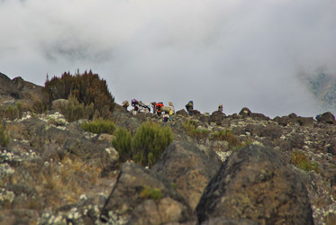 Similar image 12687725