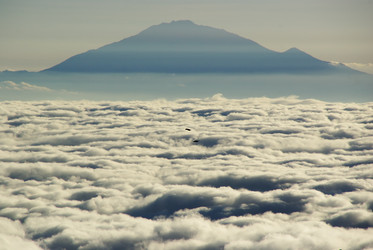 Similar image 12687726