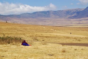 Similar image 12687749