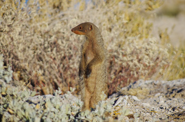 Similar image 12687857