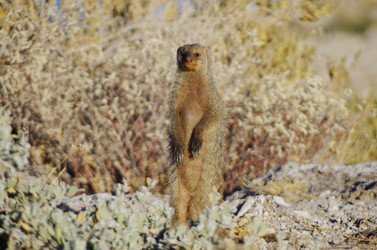 Similar image 12687858