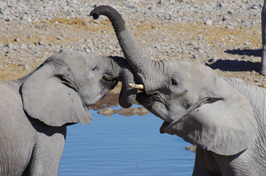 Similar image 12688112