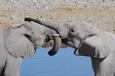 Similar image 12688113