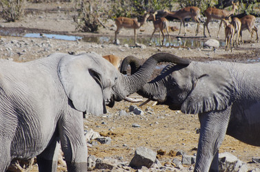 Similar image 12688114