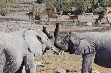 Similar image 12688115