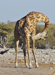 Similar image 12688137