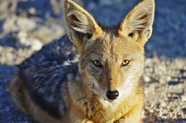 Similar image 12688151