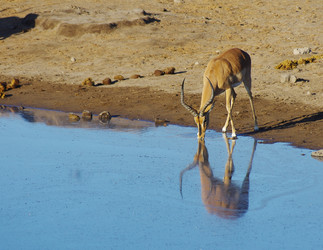 Similar image 12688152