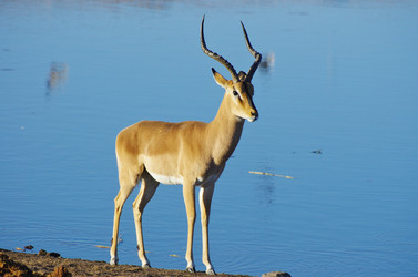 Similar image 12688153