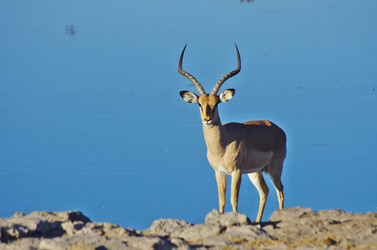 Similar image 12688154