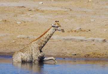 Similar image 12688170