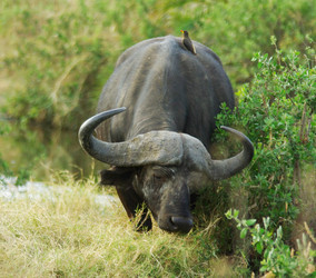 Similar image 12688192