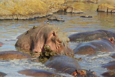 Similar image 12688193