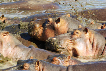 Similar image 12688195