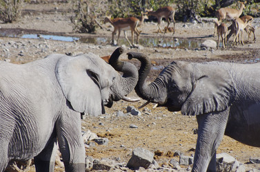 Similar image 12688210