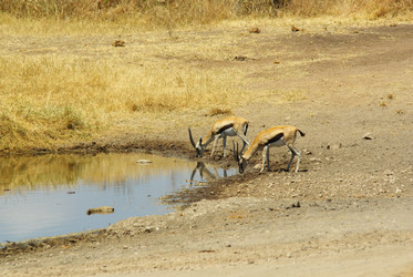 Similar image 12688232