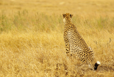 Similar image 12688258