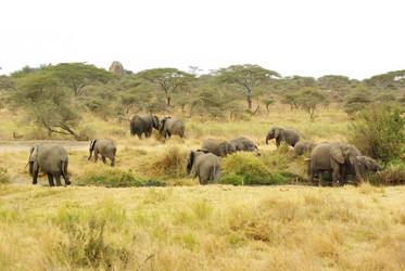 Similar image 12688259