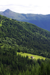 Similar image 12688358