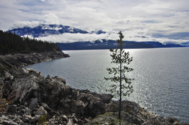 Similar image 12688359