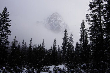 Similar image 12688402