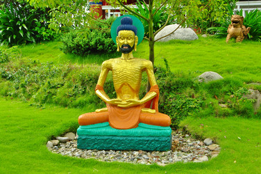 Similar image 12688513