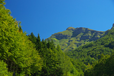 Similar image 12687593