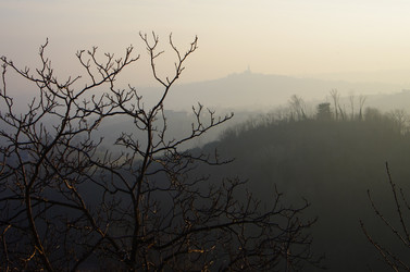 Similar image 12687631