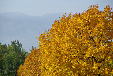 Similar image 12687632