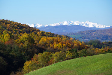 Similar image 12687634