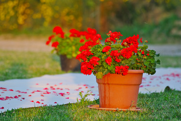 Similar image 12687655